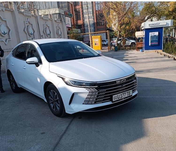 BYD CHAZOR  srochni sotiladi EDIAL HOLATDA