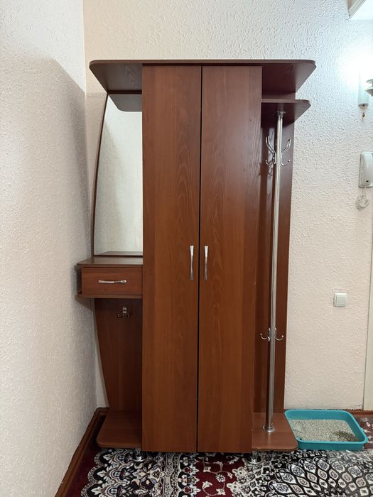 Kirish xonasi uchun shkaf sotiladi (garderob)