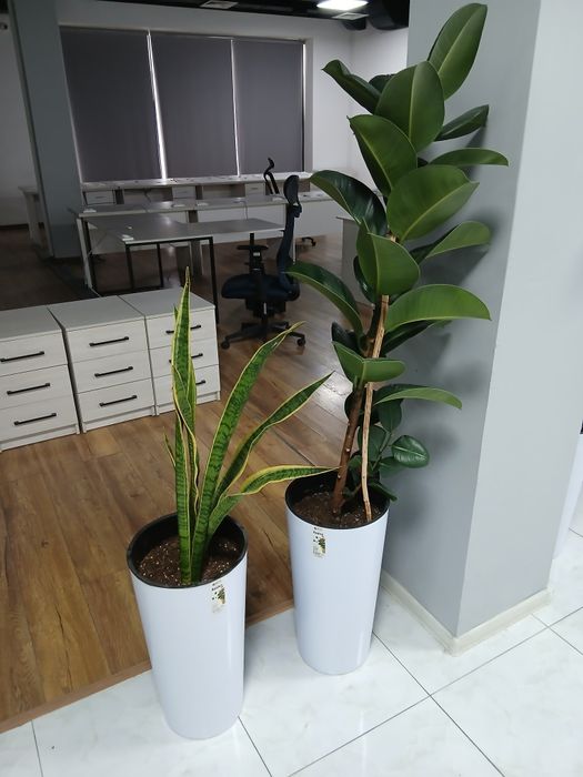 Ликвидация товаров для офиса