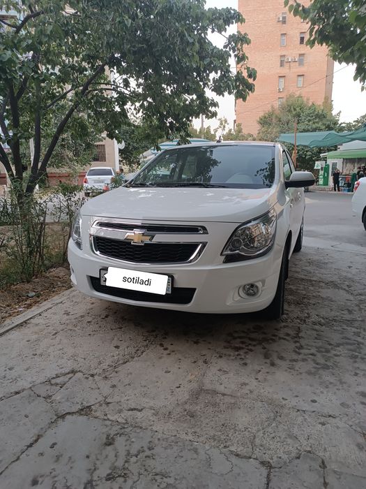 Cobalt 2020 full pazitsya