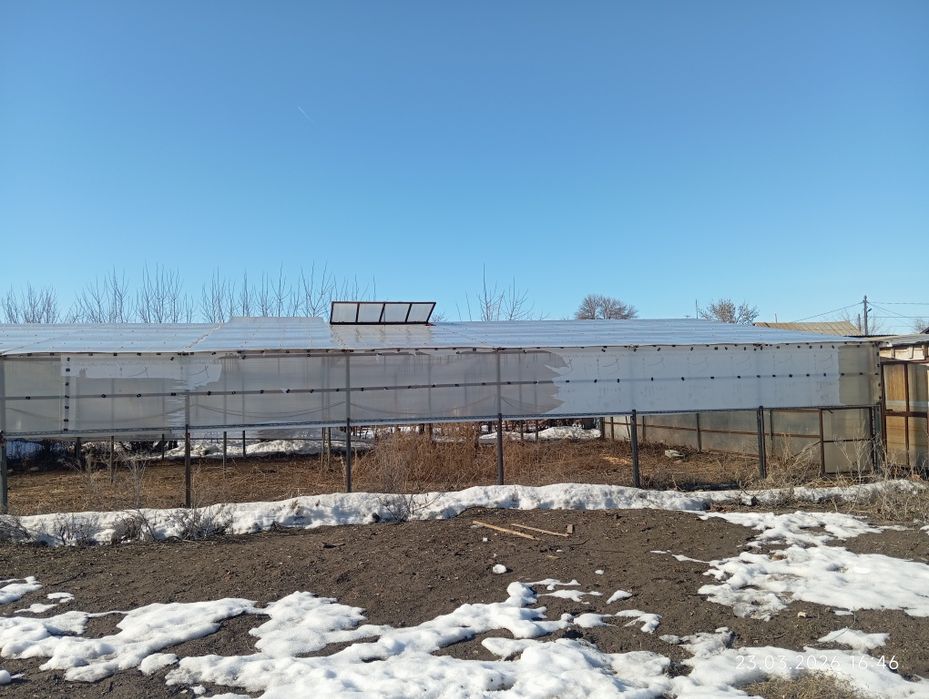 Продам Теплица большая