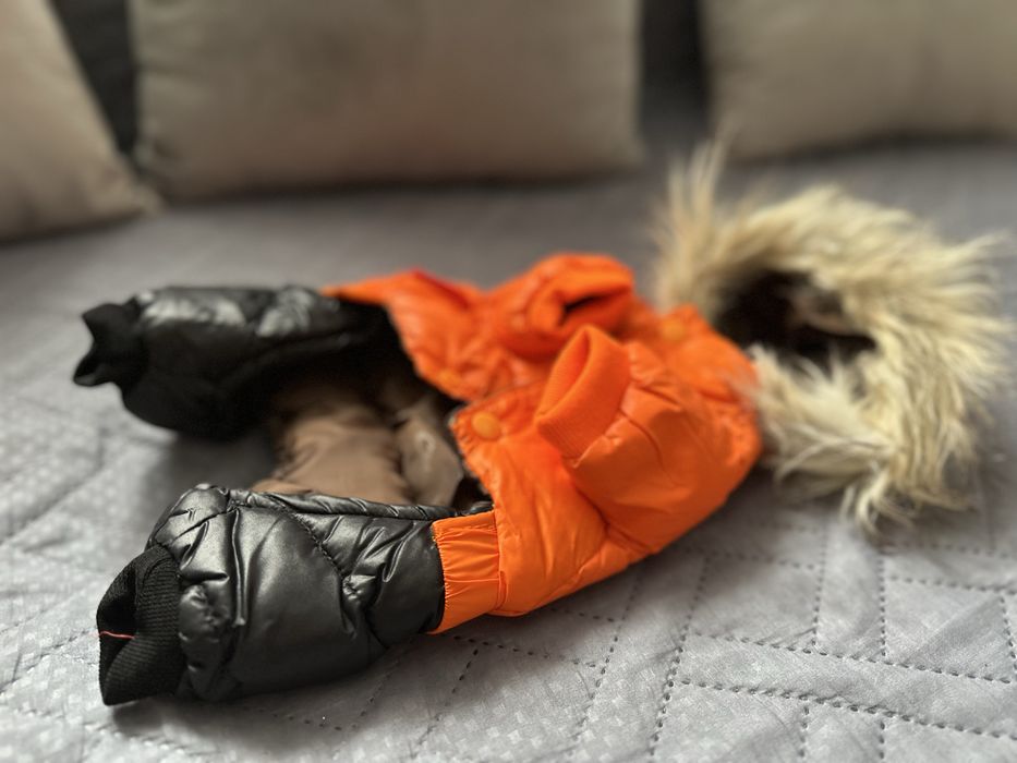 Комбинезон для собачки