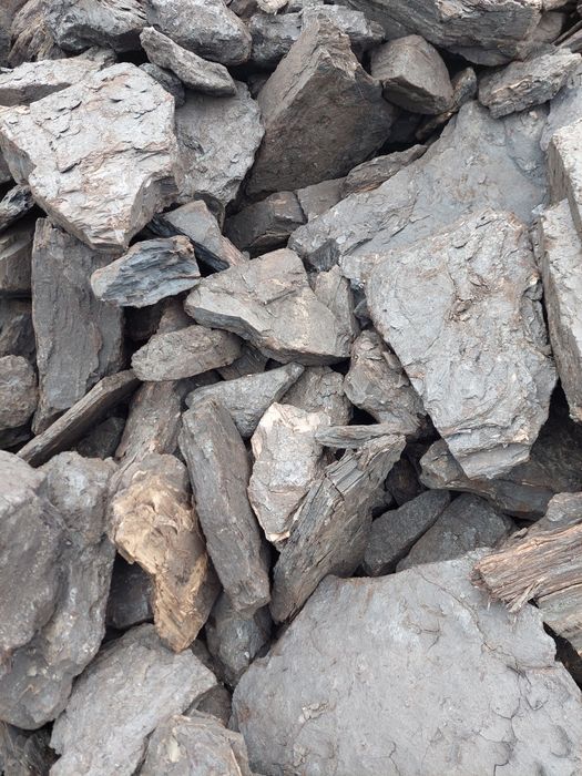 Carbuni lignit sortati