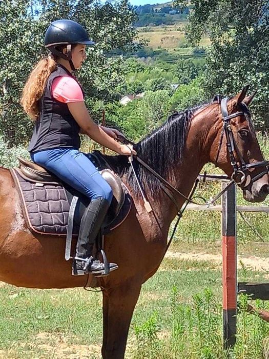 Vand iapa de echitatie