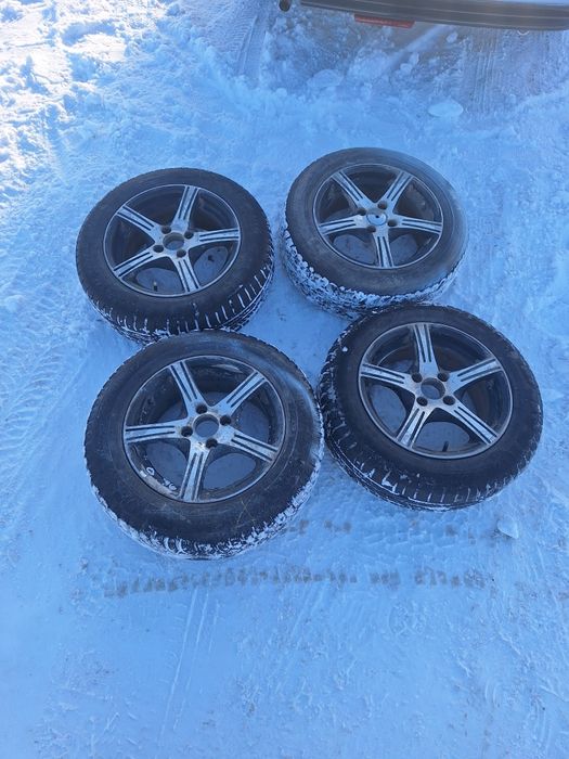 продам или обмен КРС