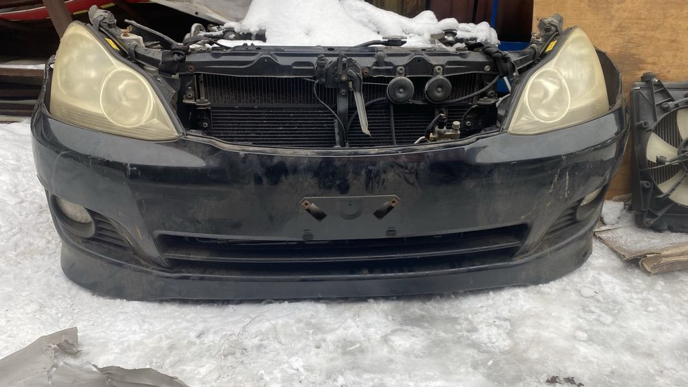 Ноускат Ипсум S комплектация