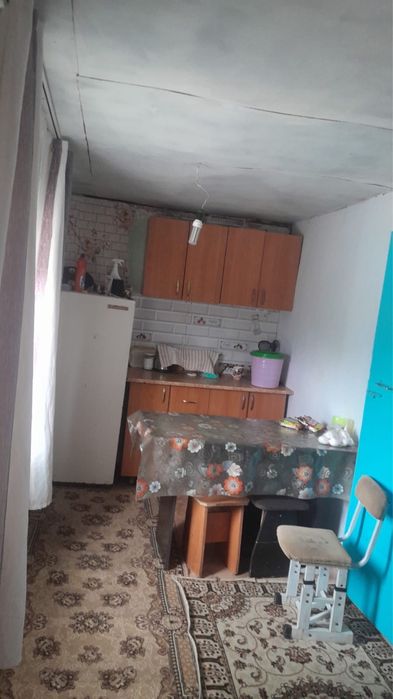 Дом зимнего варианта( Родничок)