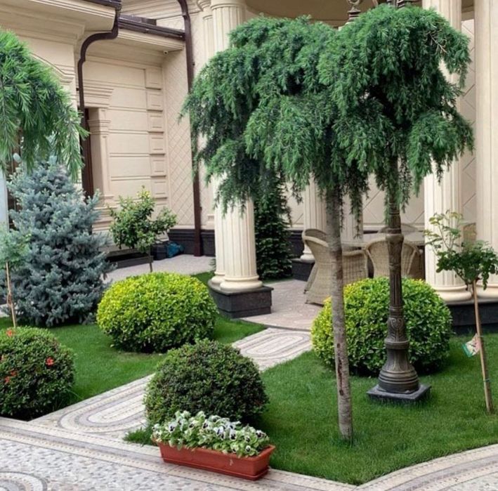 Ландшафтная компания ENTER GREEN LIFE