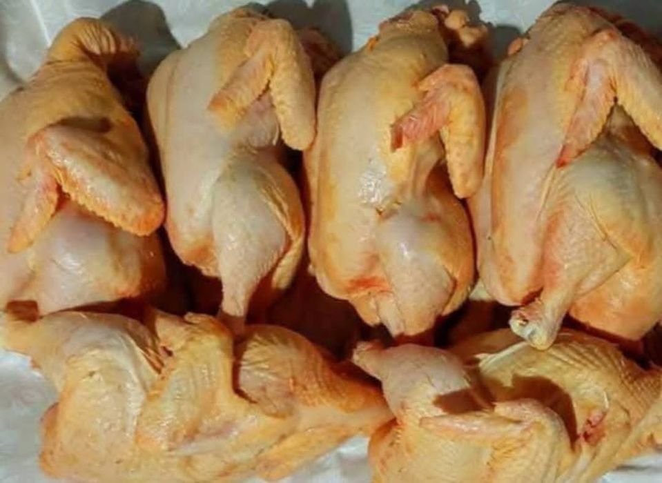 Pui albi de carne și găini albe de carne