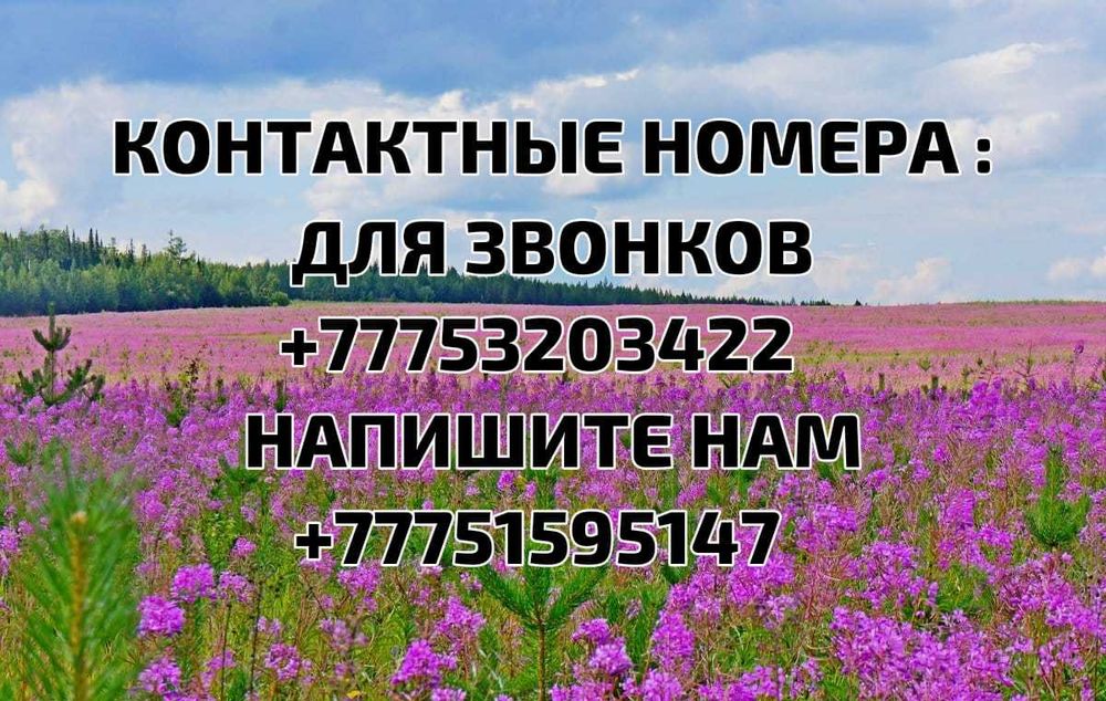 Аренда квартира долгосрочно