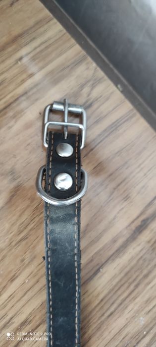 Ошейник для собаки.