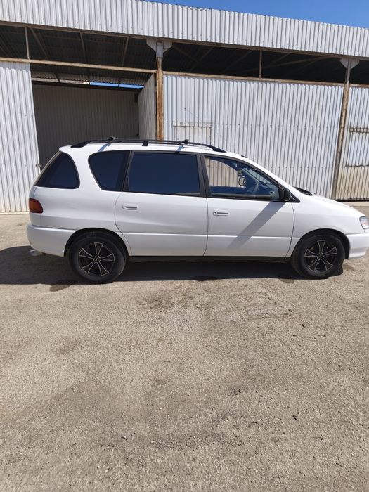 Продам Ипсум автомат