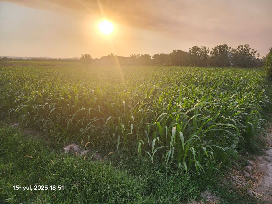 Uy-joy qurish va dehqonchilik uchun qulay yer maydoni sotilmoqda.