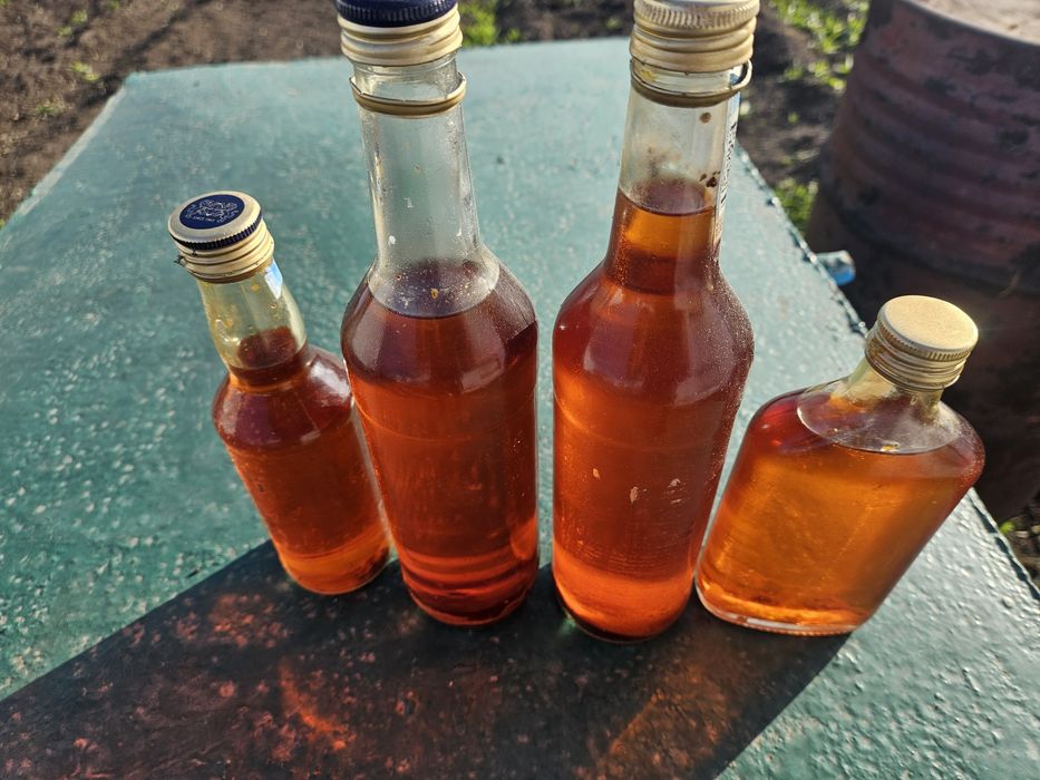 Масло облипихохвое