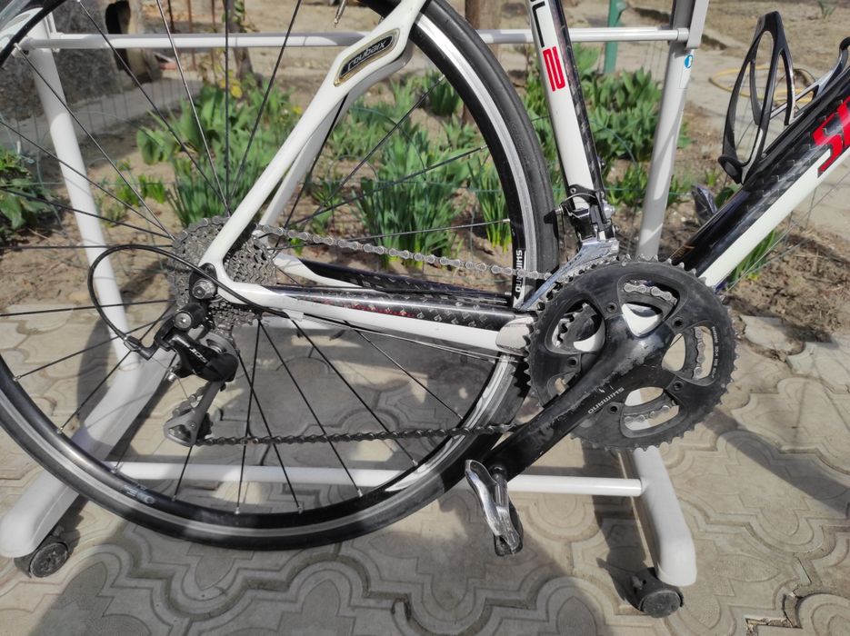 Cursieră Specializez carbon .