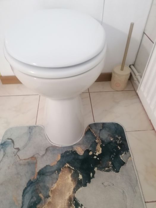 Vând cadă de baie, baterie dus, calorifer, vas de toaletă cu capac și rezervor, chiuveta și oglindă în stare bună