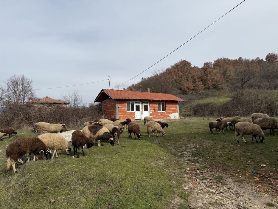 Продава се имот с къща в старото село Баничан, община Гоце Делчев