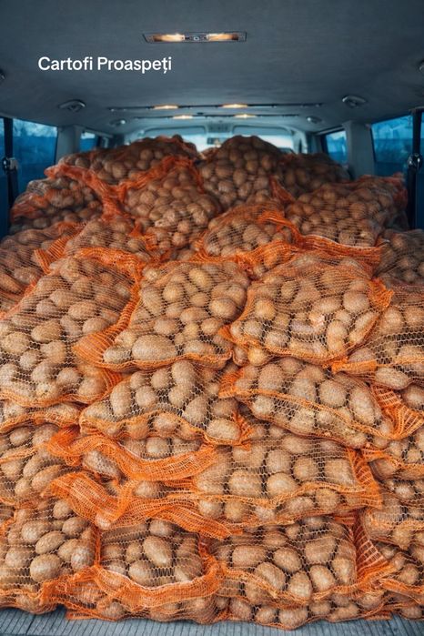 Vand Cartofi Consum 50+ 10 kg