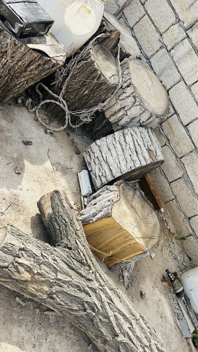 Дрова для бани, для шашлыка
