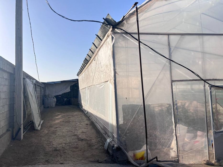 Buxoro shaxridan tayyor ishlab turgan issiqxona binosi  sotiladi