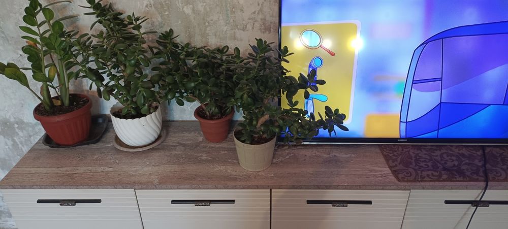 Тумба 2х дверняя