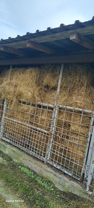 Vand Baloti Lucerna coasa 1 si coasa 2