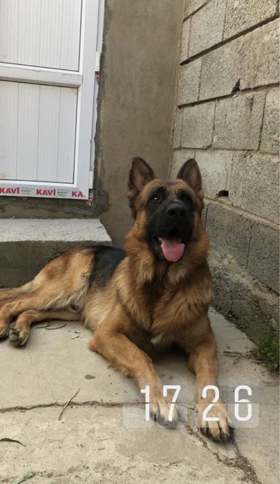 Крупный кабель для вязки