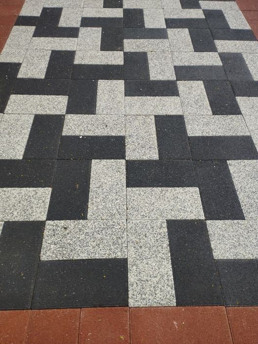 Бурусчатка вибра присовни