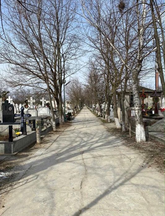 Cedez loc de veci Sf. Vasile