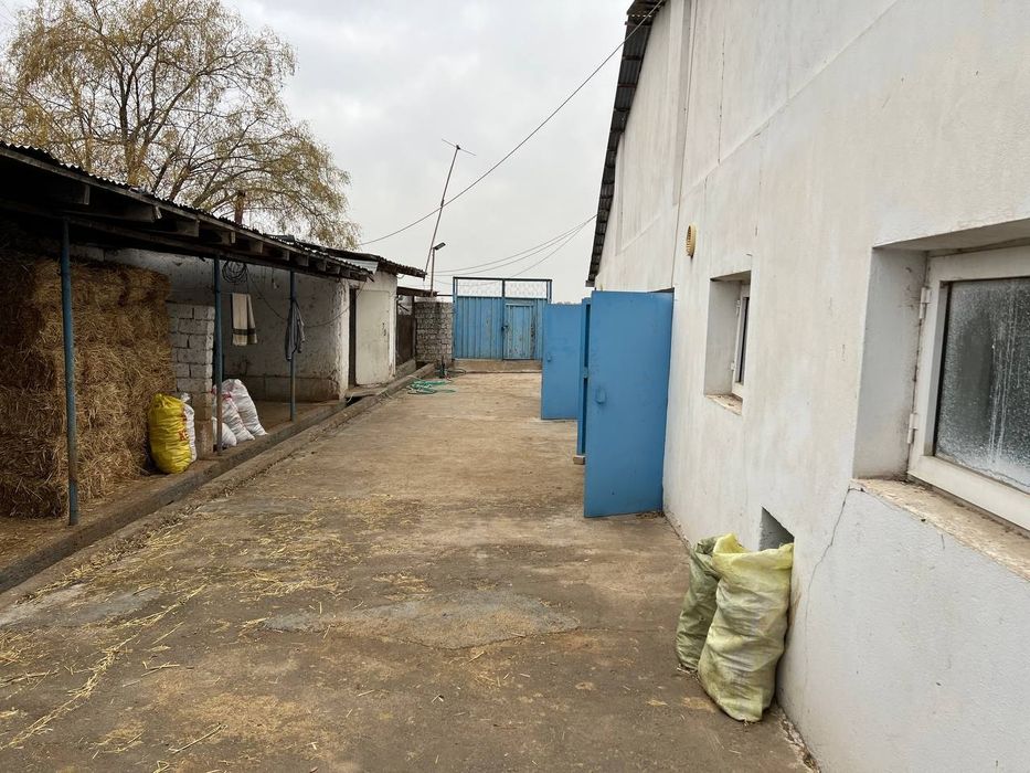 Сотилади тайер бизнес!!! Тайер ферма куй ва мол бокишга шароитлари бор