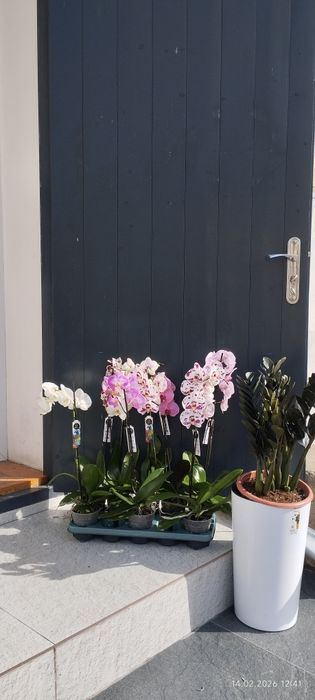 Подарочные цветы на любой праздник