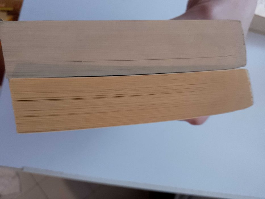 Магизточник  и Жътварят на Тери Пратчет