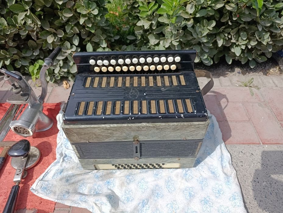 Bayan akkordion garmoshka