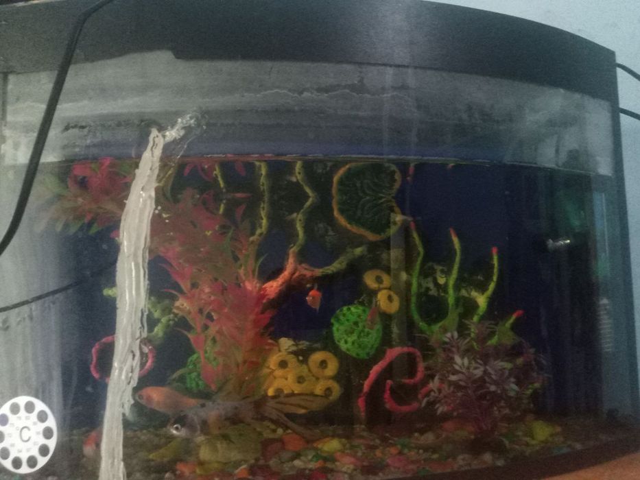 Продается аквариум причина продат время нету ухаживат