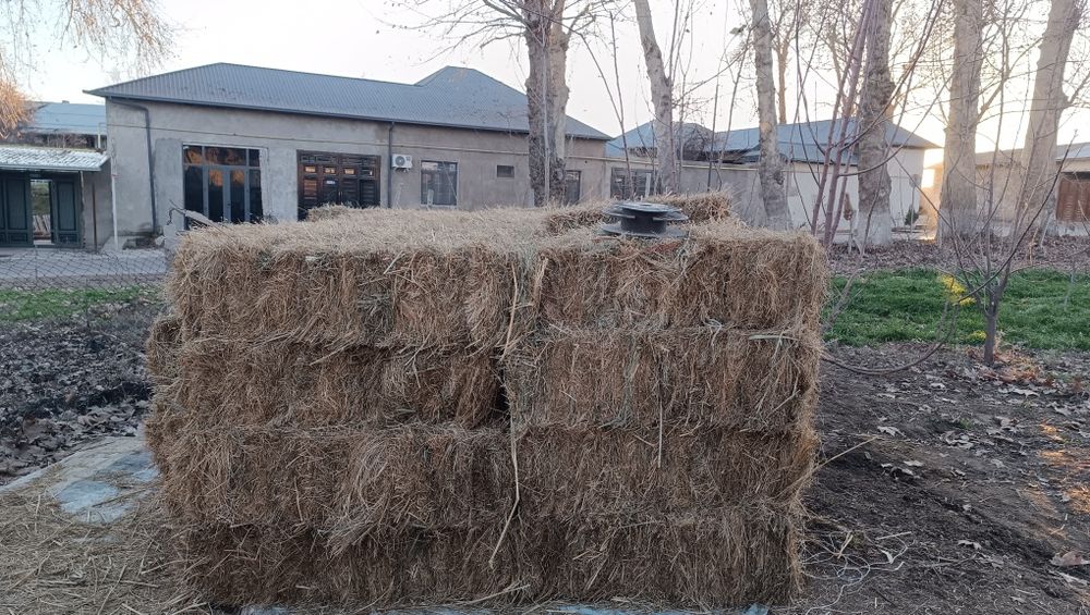 Pres sotiladi. O'tli mayin o'tdan qilingan