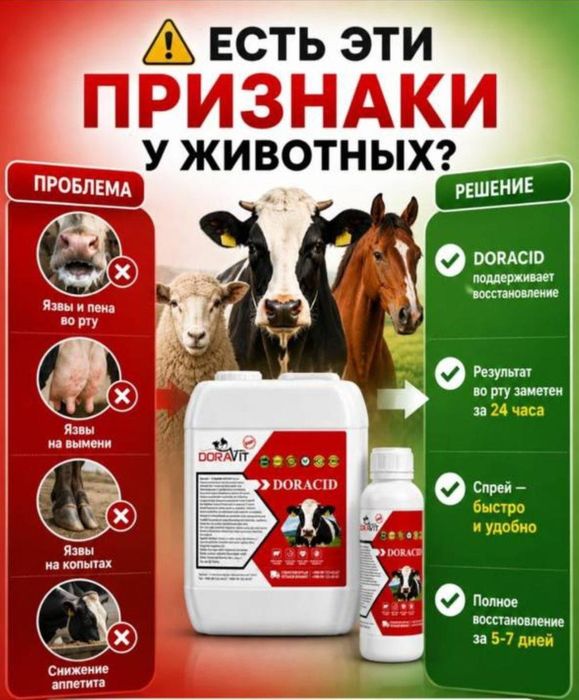 Мощная дезинфекция и лечение животных: DEZOX/DORACID
