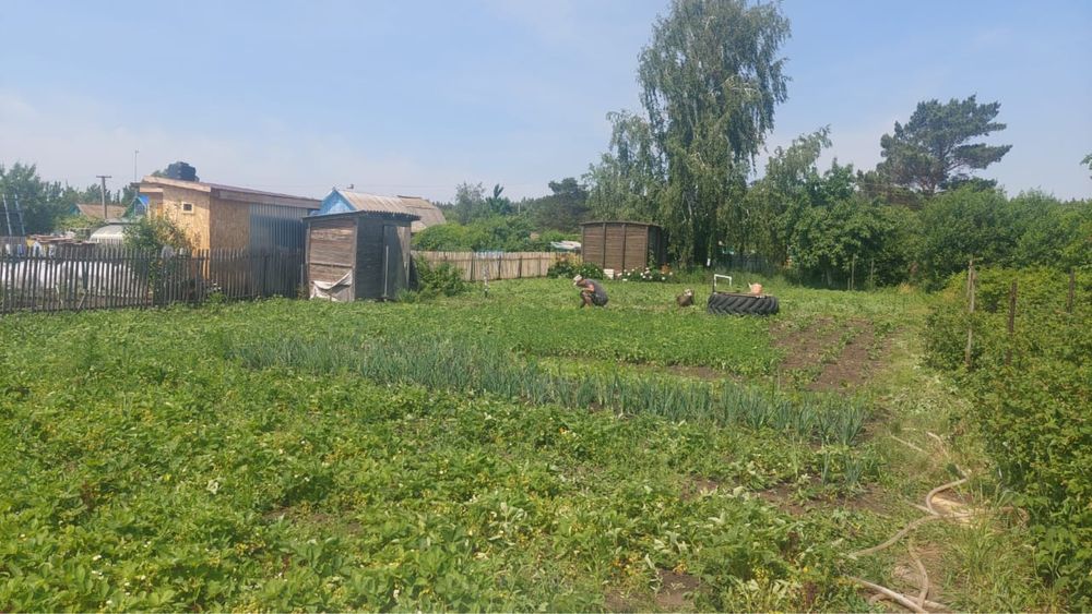 Продам дачу на дачном обществе «Гудок»