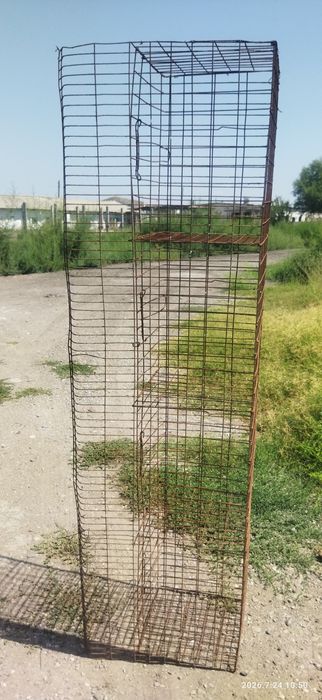 товук клетка хитой холати яхши донасини 50 мингдан бервораман