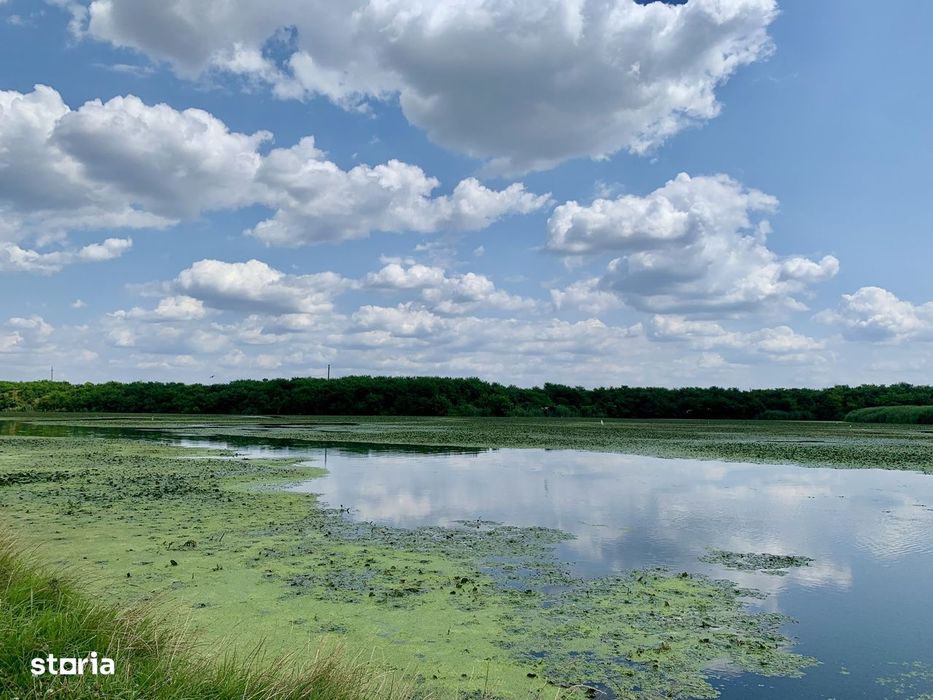 Teren Crevedia 45000 mp