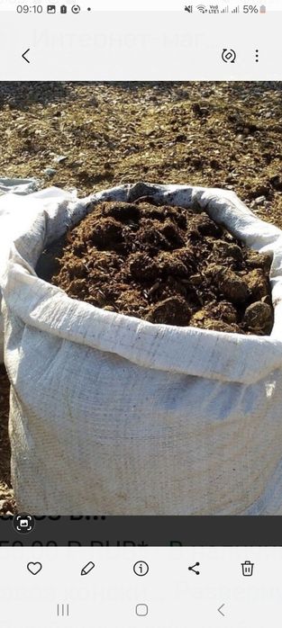 Сатылымда огородқа көң бар .