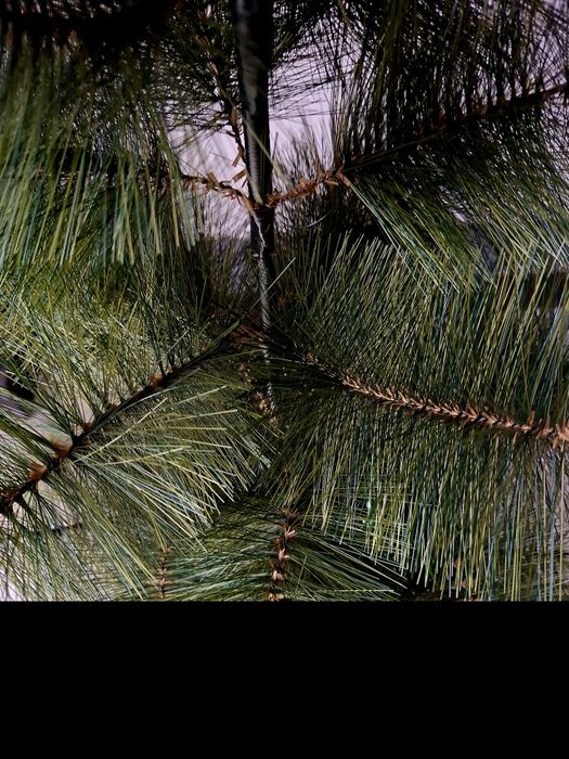 Искусственная ёлка