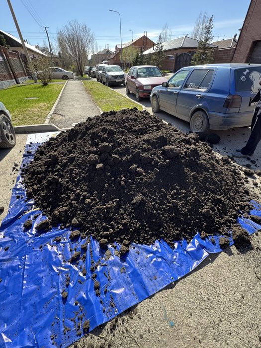 Чернозем, перегной