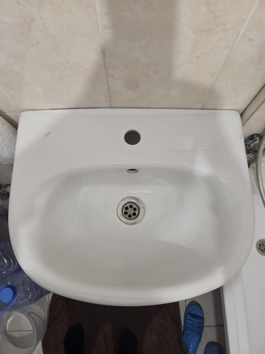 Тюльпан в хорошем качестве