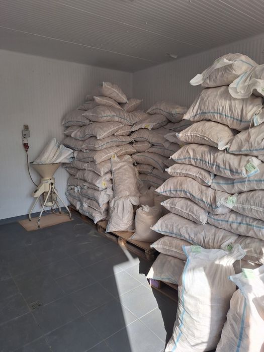 Vand paine uscata pentru animale