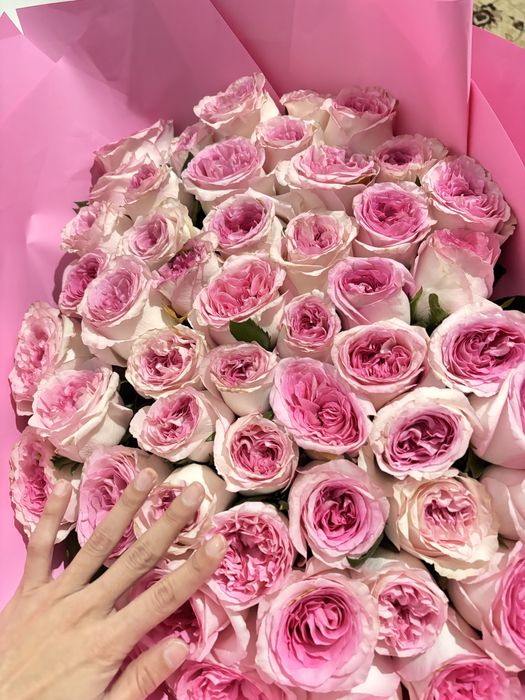 Букет 51 штук свежий