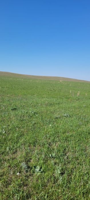 Продам участок в поселке Айтей