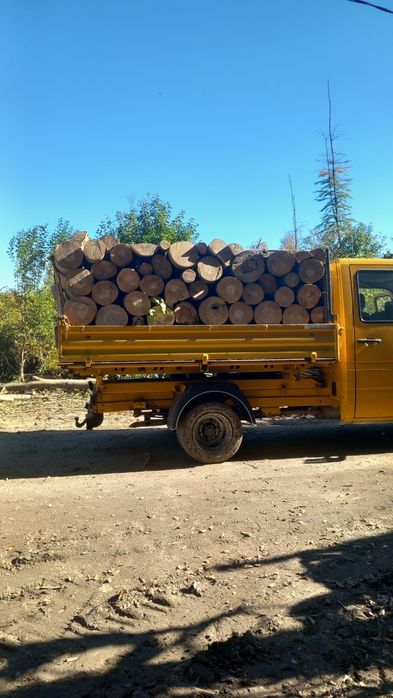 Lemne de foc esență tare