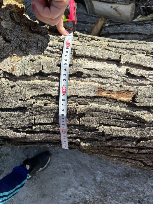 Орех, дънер за дървен материал