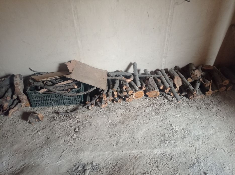 Sumalak halimga mevali daraxt oʻtinlari sotiladi.