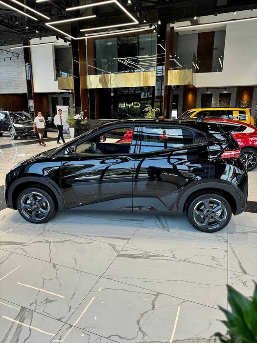 Seagull  405KM  FLYING 2024